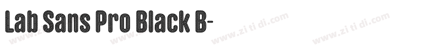 Lab Sans Pro Black B字体转换